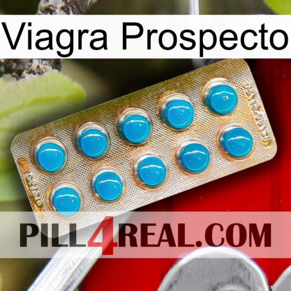 Prospecto Viagra new09.jpg